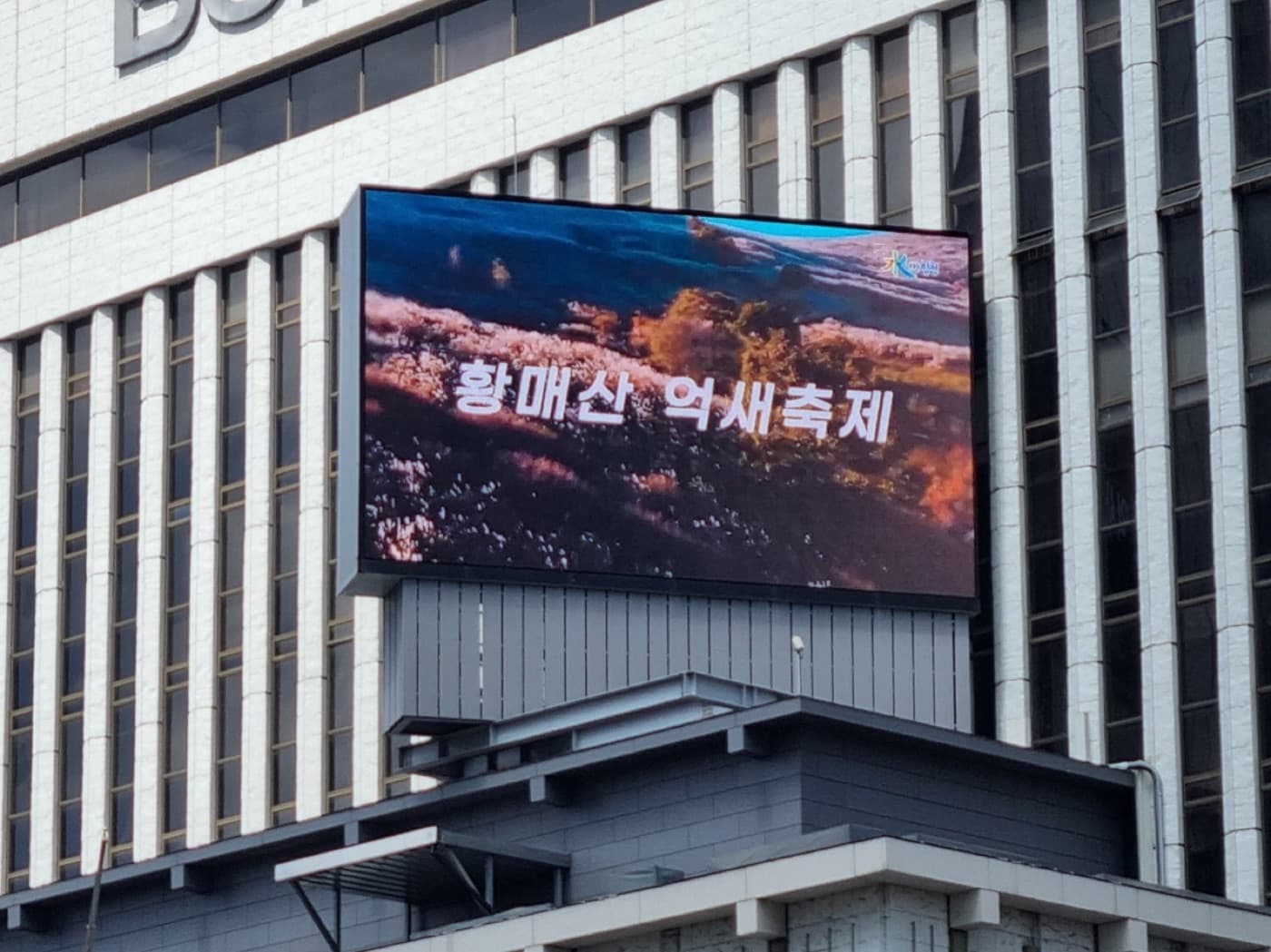 대구 전광판 공공 홍보 노출 예시